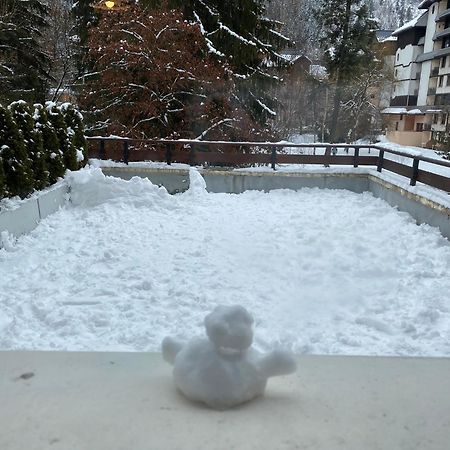Mont Blanc View Chamonix Apartment エクステリア 写真