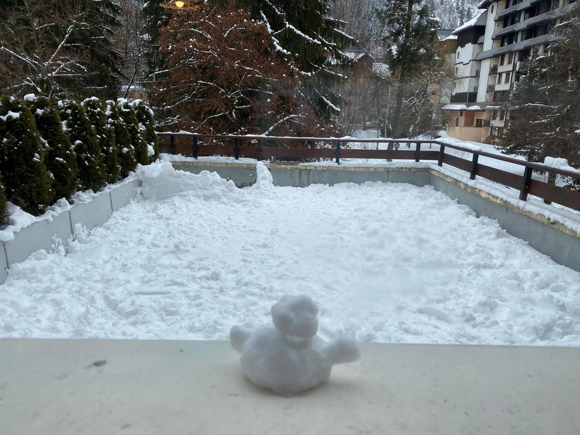 Mont Blanc View Chamonix Apartment エクステリア 写真